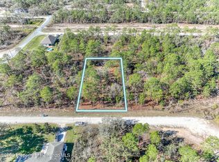 15221 Barron Ct, Brooksville, FL 34614