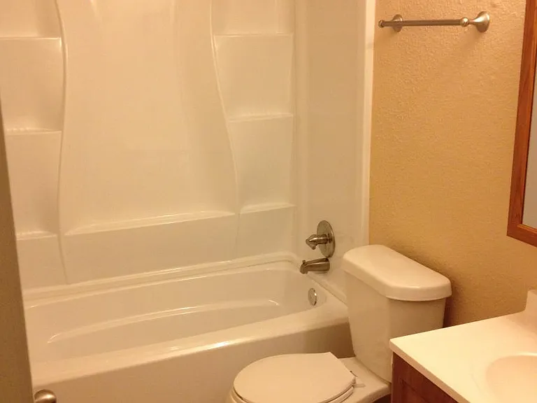 New bathtub, closet door, paint