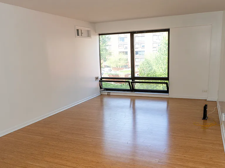 1169 S Plymouth Ct #302 — Photo 2