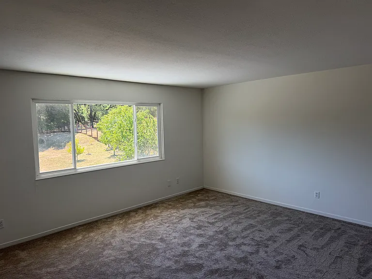 427 Bloom Ln — Photo 29
