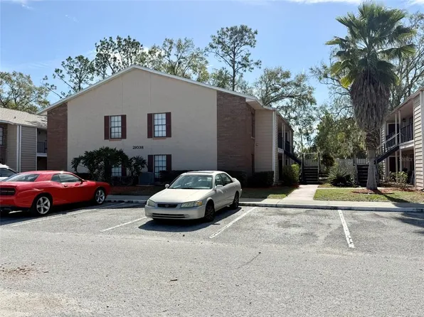 21038 Voyager Blvd APT 3, Land O Lakes, FL 34638