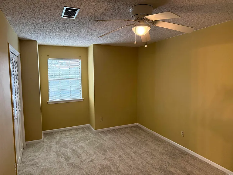 2 Red Birch Cv — Photo 9