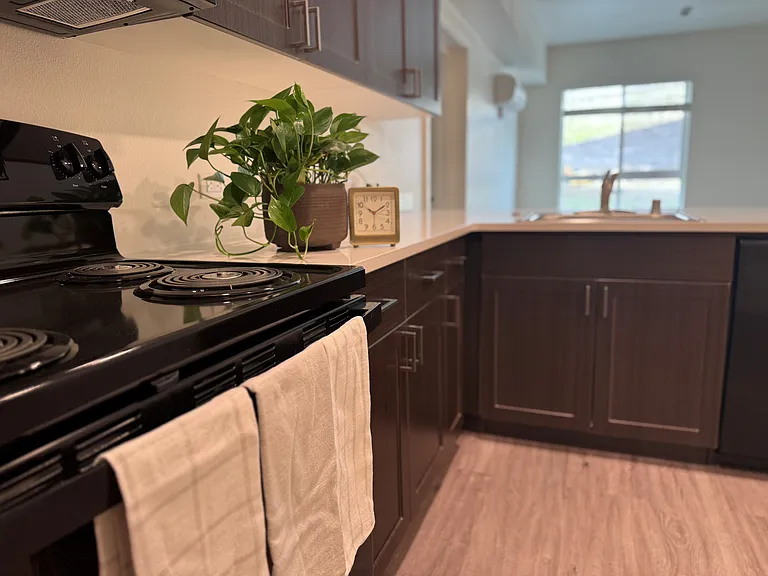 La Vista — Photo 11