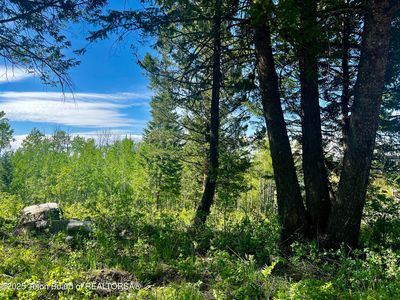 5 Cedar Dr, Thayne, WY, 83127