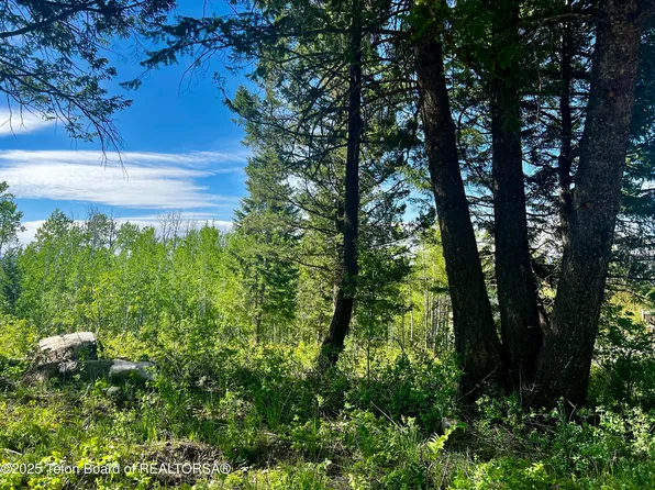 5 Cedar Dr, Thayne, WY 83127