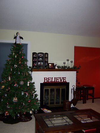 View of the Fireplace