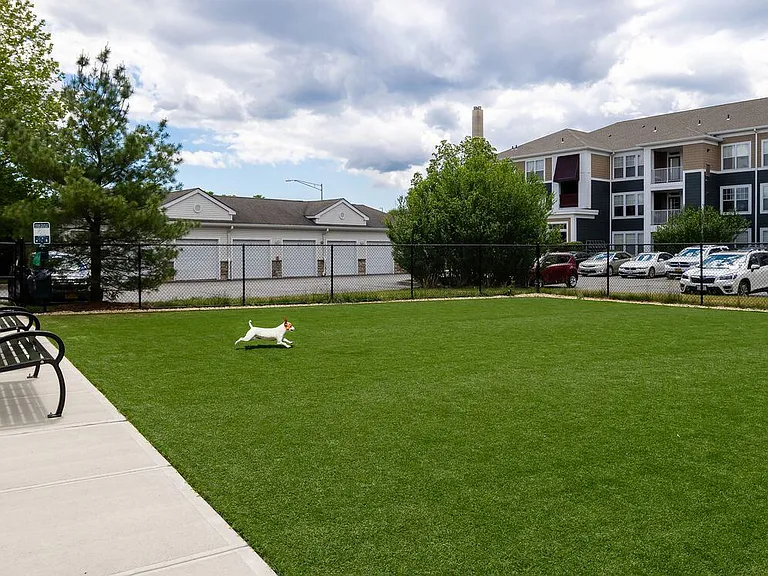 WAG pet park