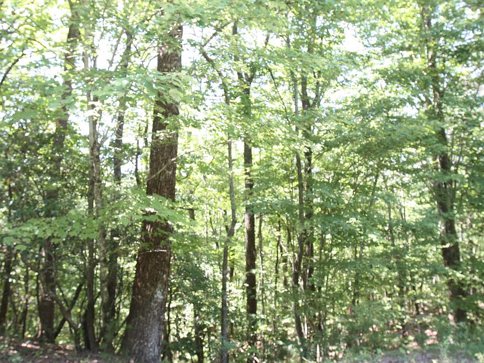 1st image of 6+AC Old Burnt Mtn #L