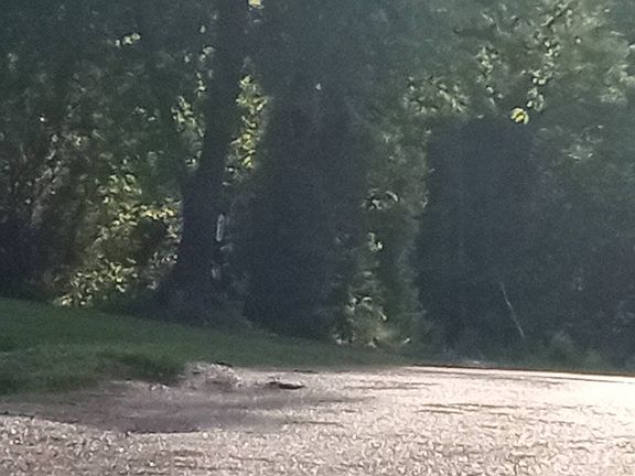 5th image of 391 Gifford Rd