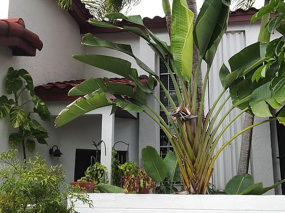 Front of house