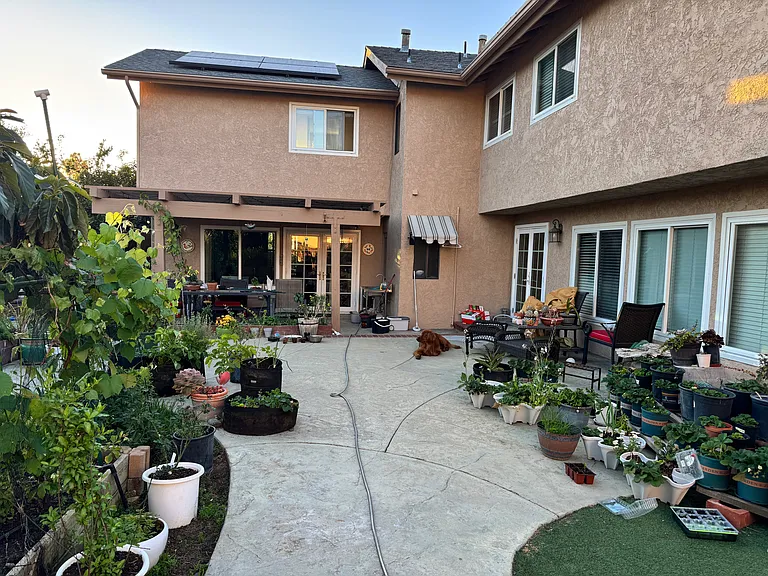 17641 Birch Tree Ln — Photo 7