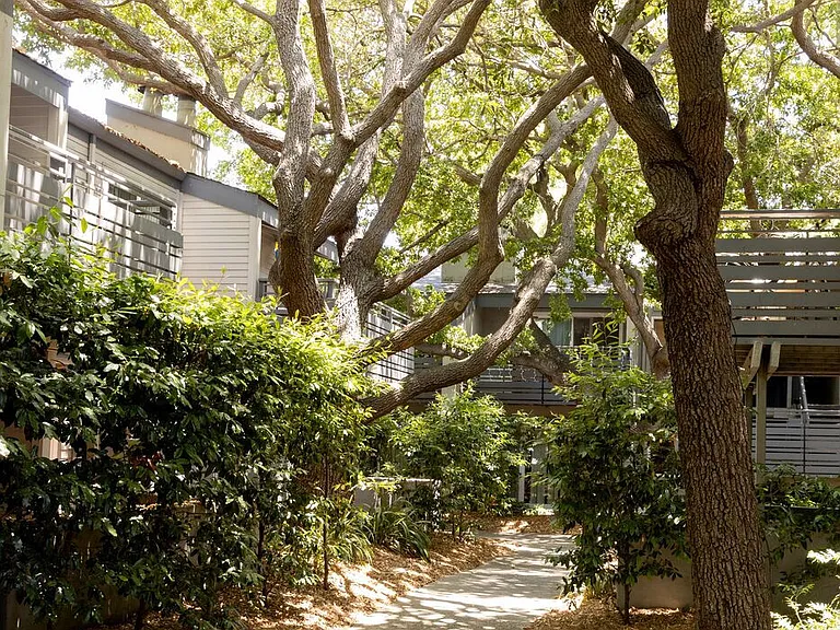 Shadowbrook — Photo 29