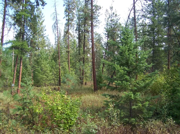 34XX Kingsbury Lake Way, Kettle Falls, WA 99141