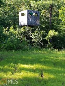32 Country Lane Rd, Talbotton, GA, 31827