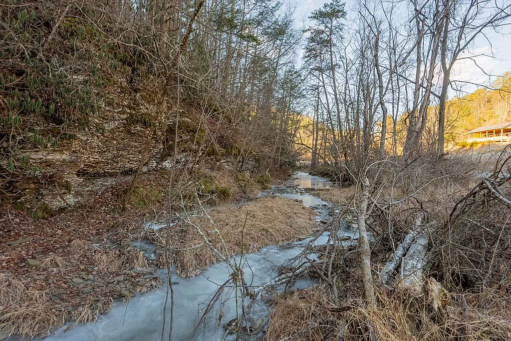 Kimberling Rd #10A-10B2 photo 1