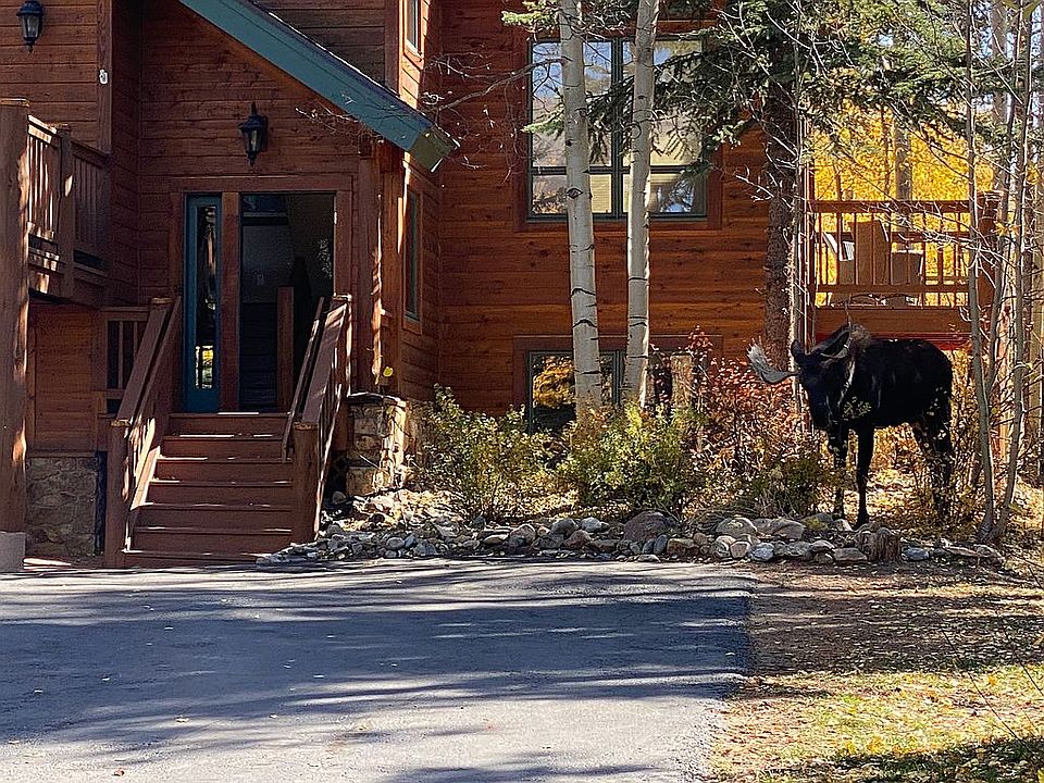 Moose abound