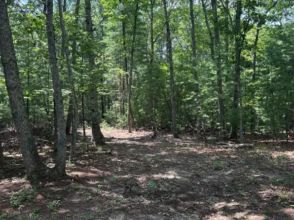 0 Cheatham Rd, Monroe, VA 24574