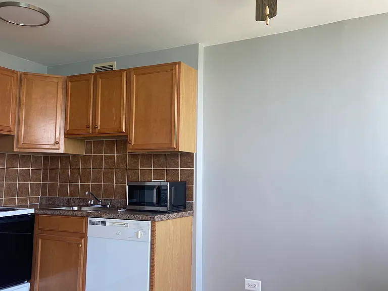 6171 N Sheridan Rd #1507 — Photo 15