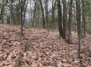 PARCEL Coates Hwy #C, Brethren, MI 49619