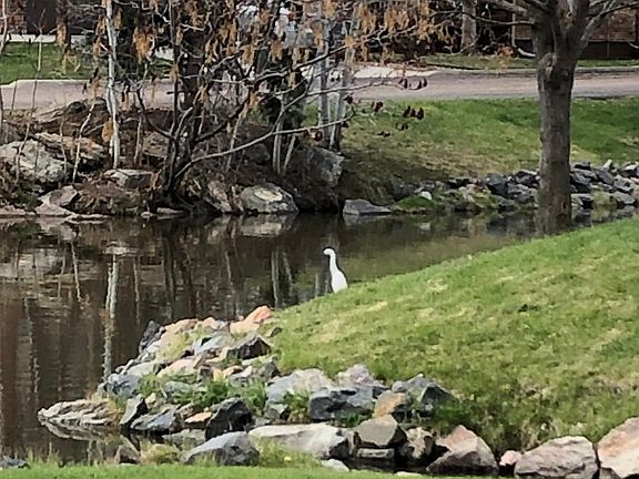 View from the back deck!