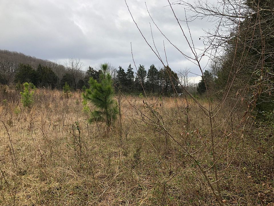 2nd image of County Road 280
