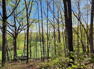 11.87 Lumpkin View Dr, Cleveland, GA 30528