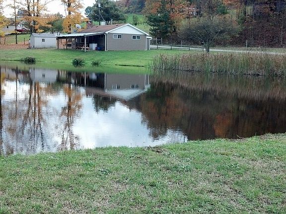 Pond
