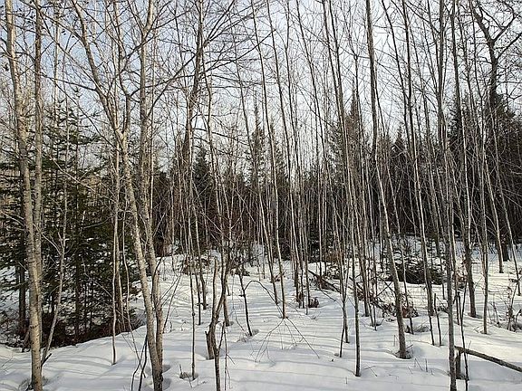 3rd image of On Highway 8