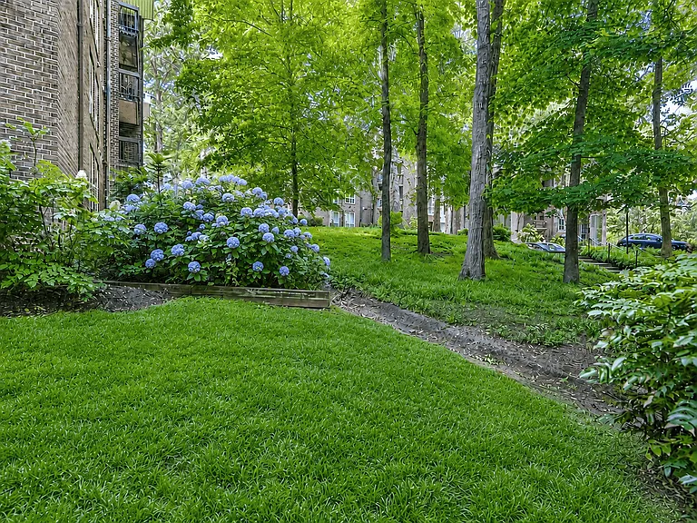 The Forest Apartments — Photo 36