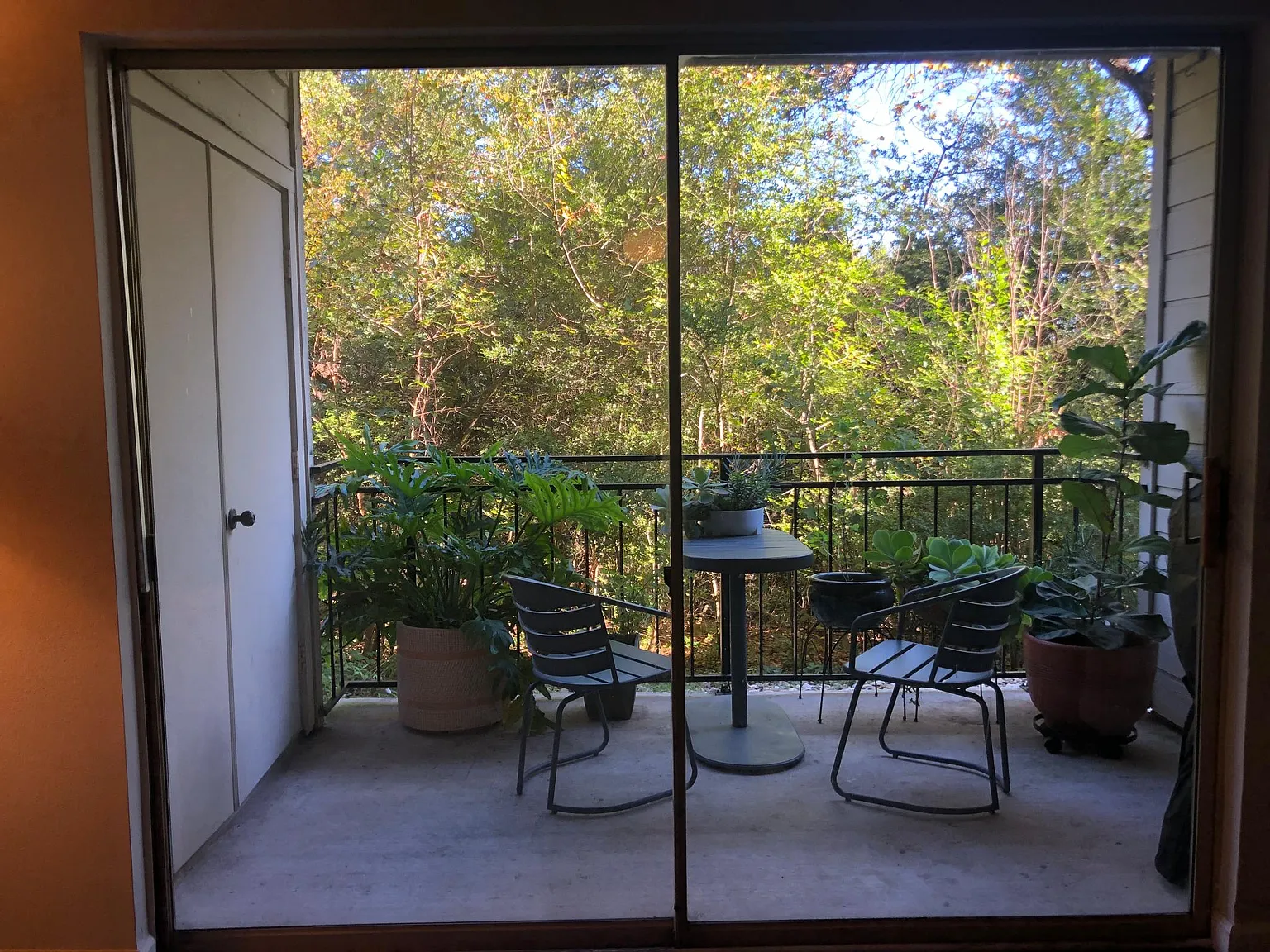 6000 Shepherd Mountain Cv — Photo 2