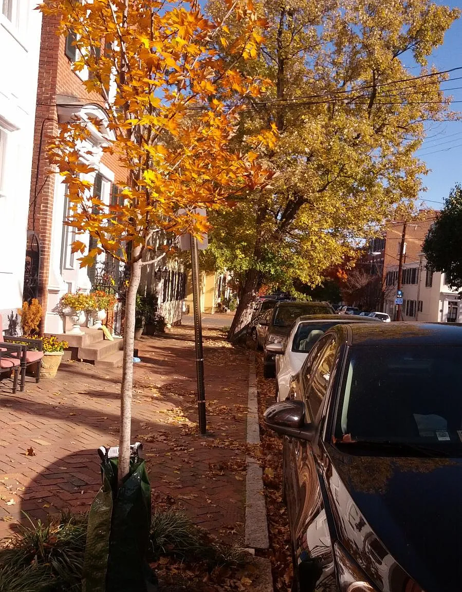1 bed, 600 sqft, $2,300 — Photo 2