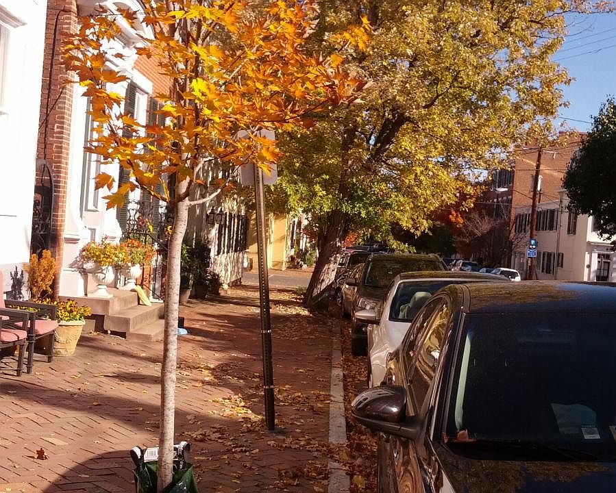 exterior beautiful fall day in Old Town.