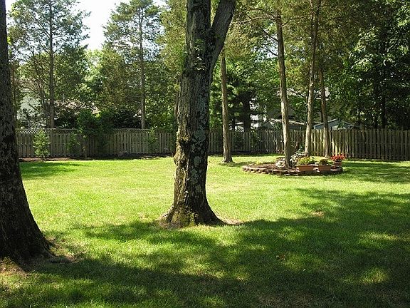 4th image of 7 Lyndhurst Dr