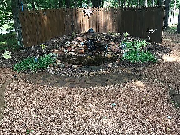 Water pond with fish.