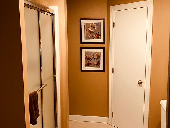 Lower level bathroom
