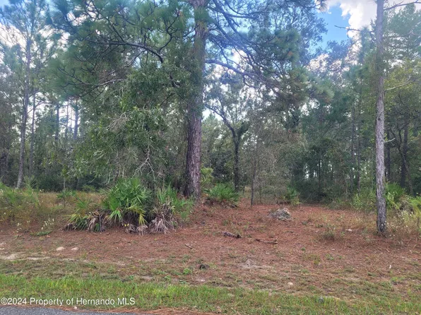 10298 Meadow Wren Ave, Weeki Wachee, FL 34613