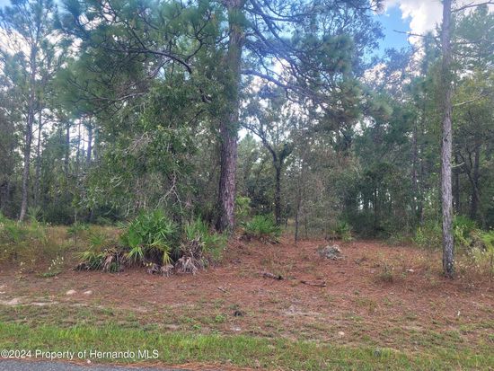 10298 Meadow Wren Ave, Weeki Wachee, FL 34613