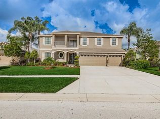 3011 Downan Point Dr, Land O Lakes, FL 34638