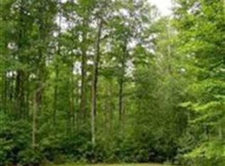 6637 Grand Kal Rd SW, Fife Lake, MI 49633