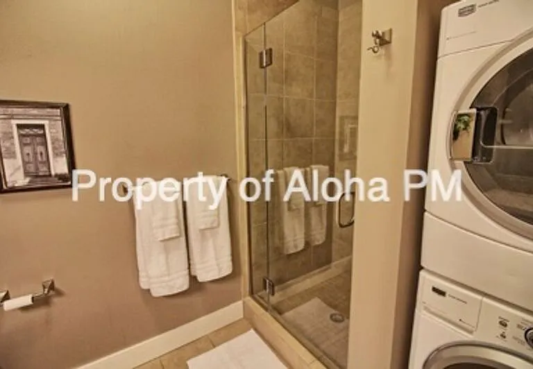 419 S 8th St #205 — Photo 10