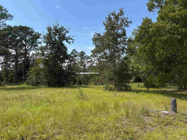 X Griffin Rd, Crawfordville, FL 32327