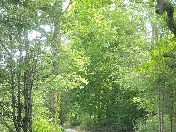 3rd image of Lot 8 TBD Lucky Hill Road