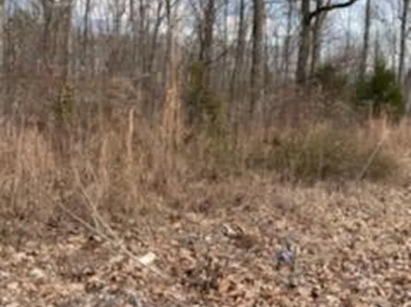 15709 Birdsong Rd, Holladay, TN 38341