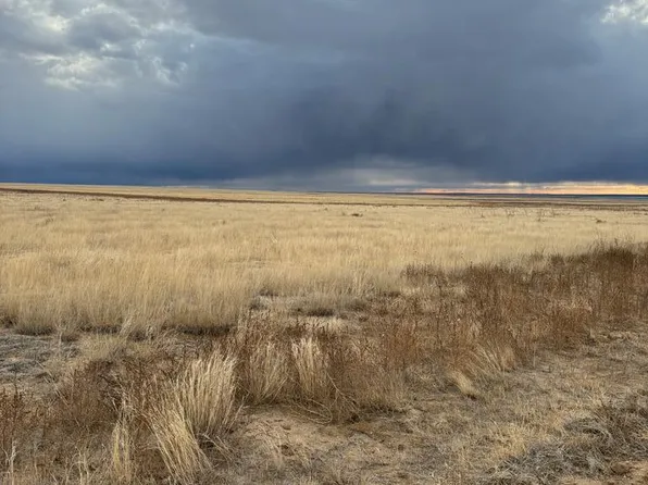 Rd 19& C County Farm Rd #0, Haswell, CO 81045