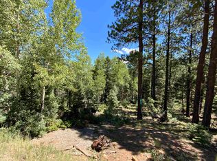 22 Taos Pines Ranch Rd, Angel Fire, NM 87710