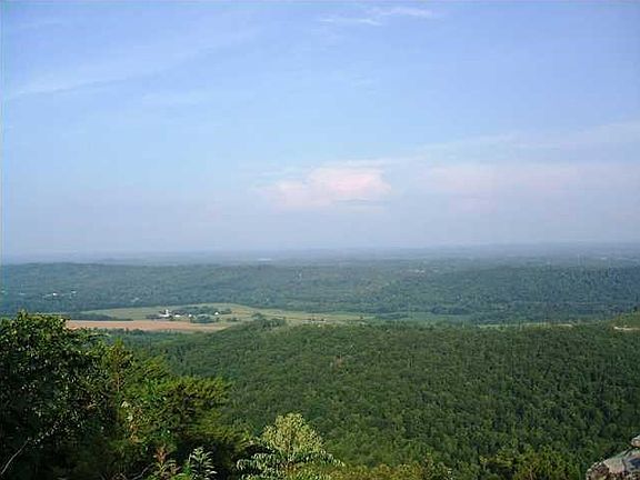 Panoramic  Views