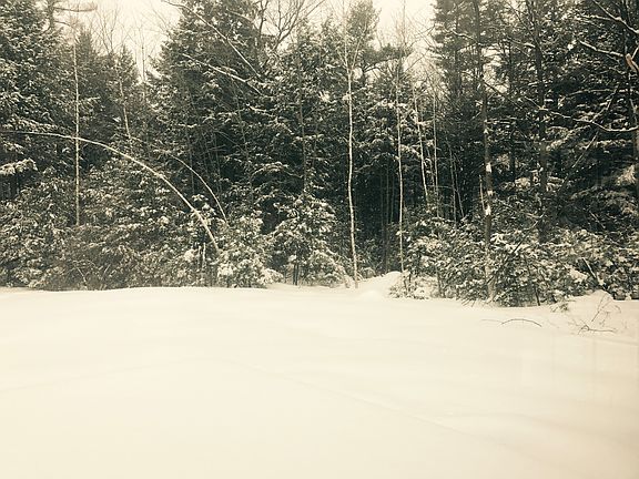 View of back yard in winter