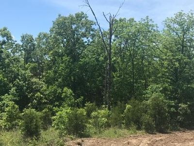 0 County Road 3060, Rolla, MO, 65401