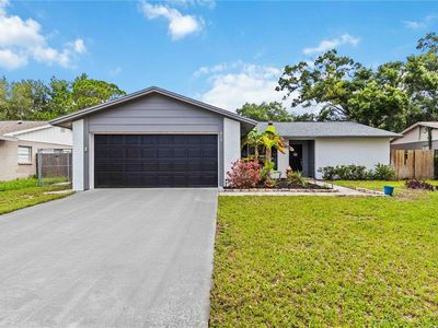 616 Bryan Terrace Dr, Brandon, FL, 33511