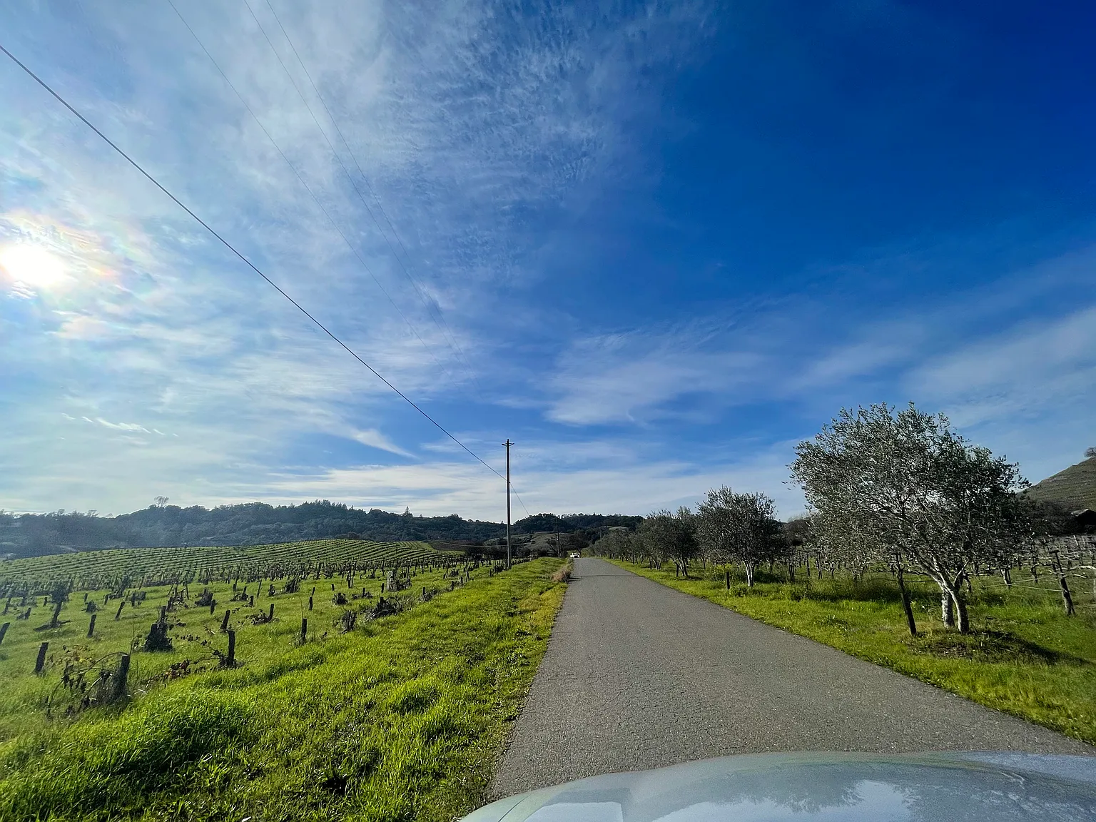 24401 Rich Ranch Rd — Photo 2